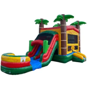 2-Lane Palm Tree Combo Wet n Dry