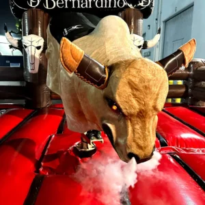 Premium Mechanical Bull Package
